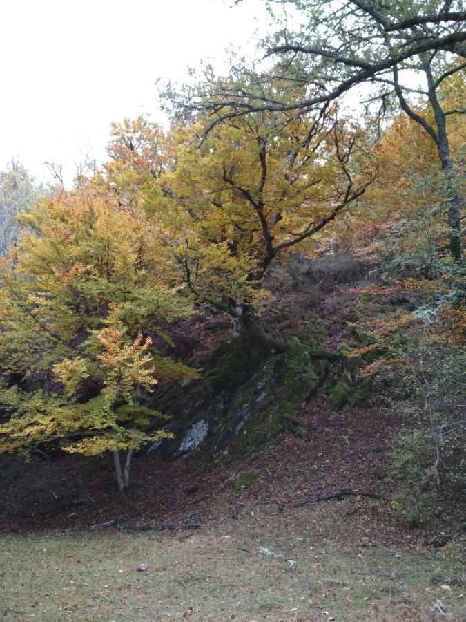 La Casa Emboscada Villa Horcajo de la Sierra Dış mekan fotoğraf